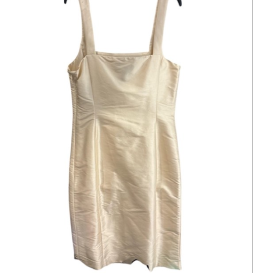 Sleeveless Fitted Sheath Dress S4